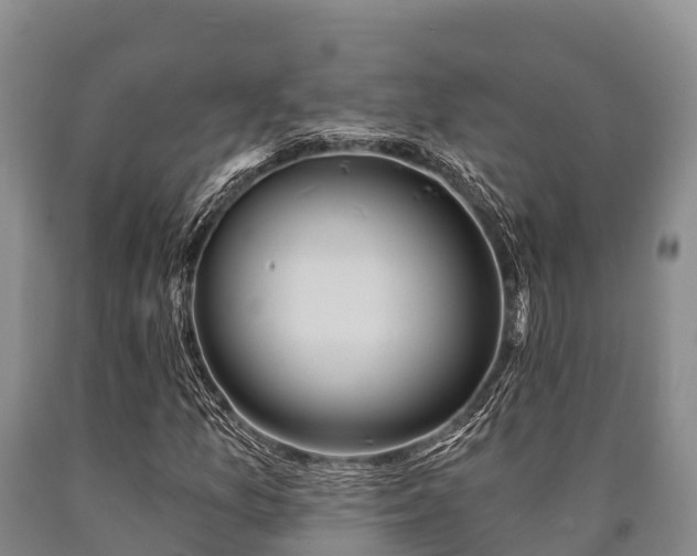 X0000090711157200707271125