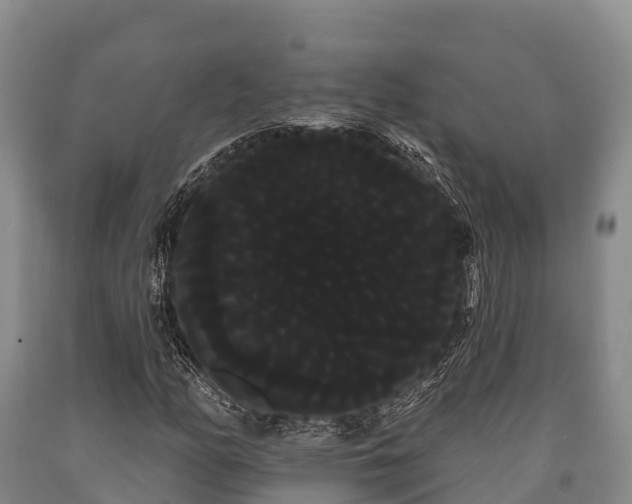 X0000090711158200707271125