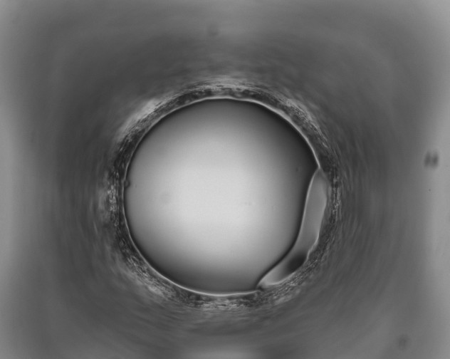 X0000090711159200707271125