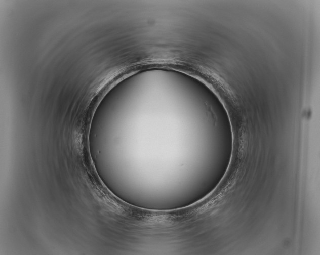 X0000090711162200707271125