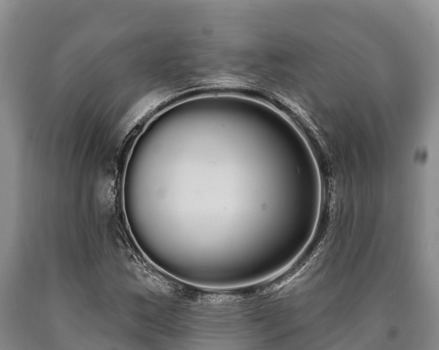 X0000090711163200707271125