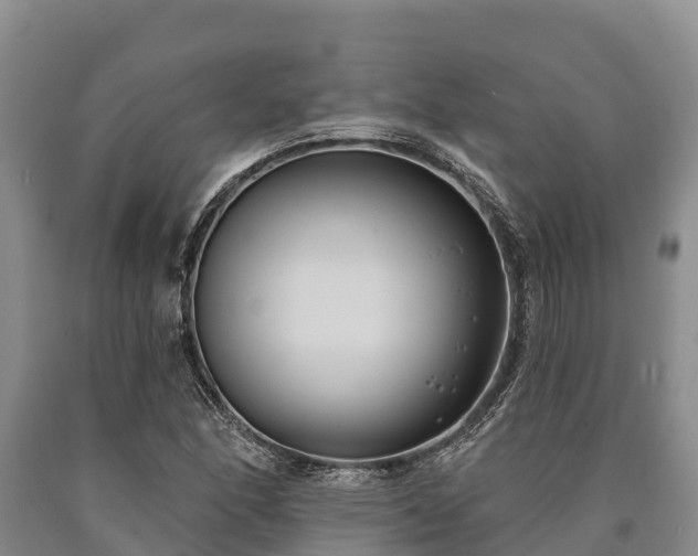 X0000090711166200707271125