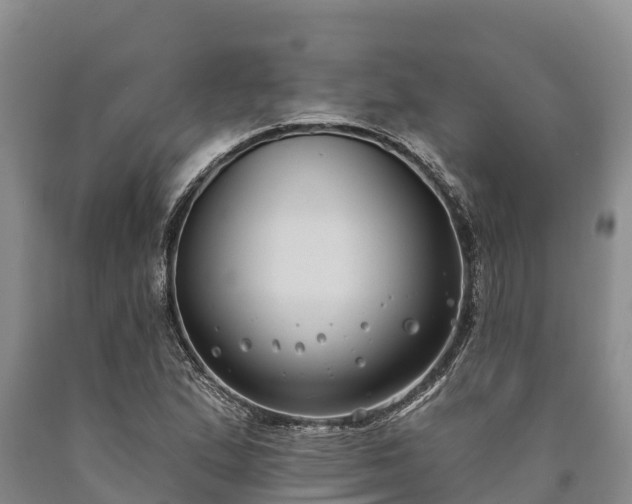 X0000090711167200707271125