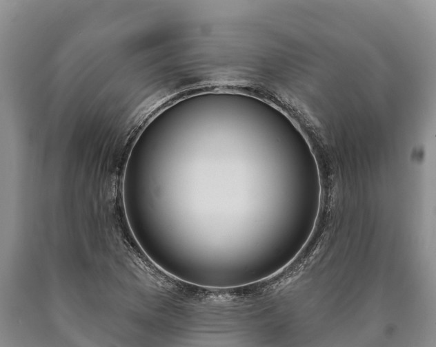 X0000090711169200707271125