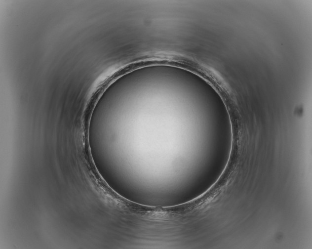 X0000090711172200707271125