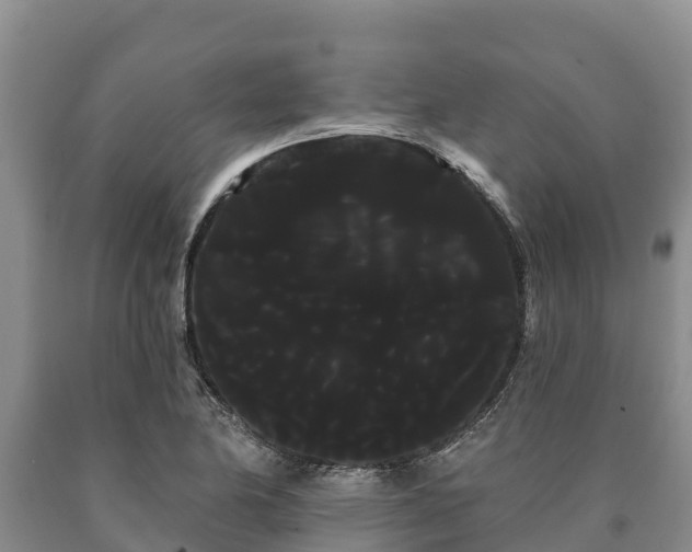 X0000090711174200707271125