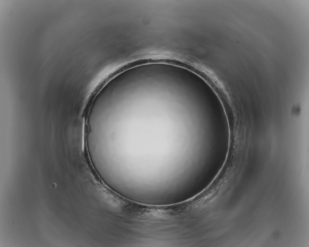 X0000090711175200707271125