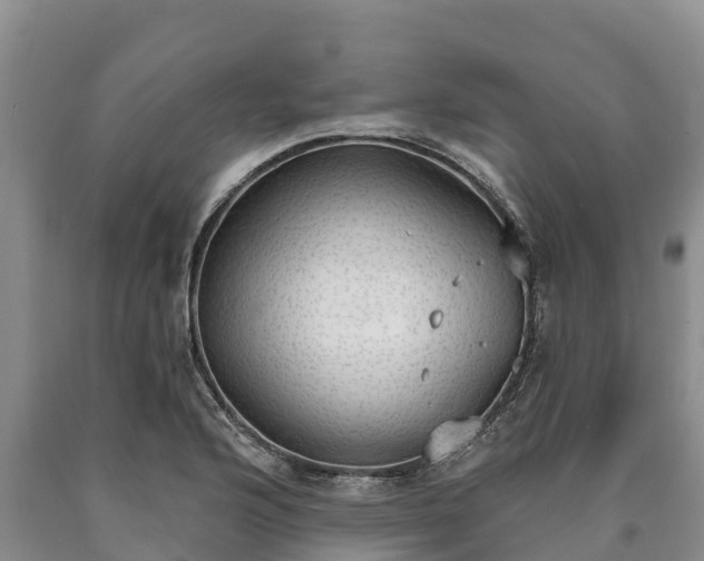 X0000090711176200707271125