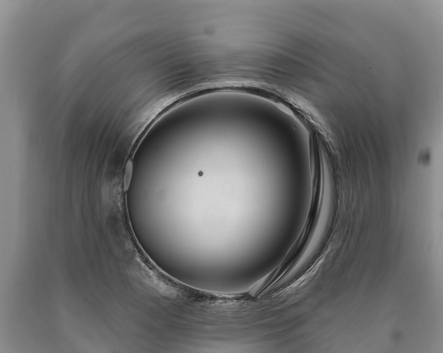 X0000090711177200707271125