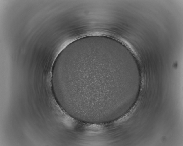 X0000090711178200707271125