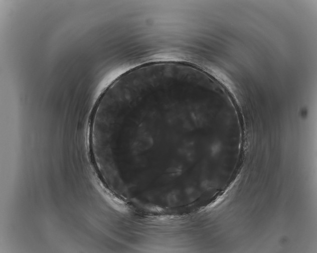 X0000090711179200707271125