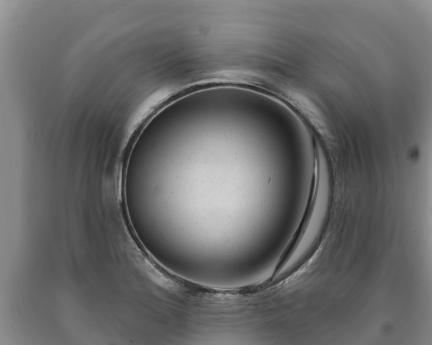 X0000090711180200707271125