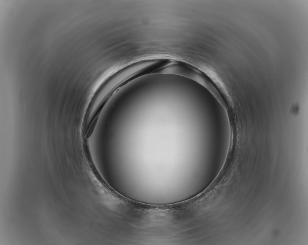 X0000090711181200707271125