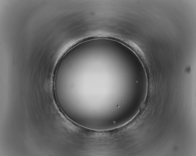 X0000090711183200707271125