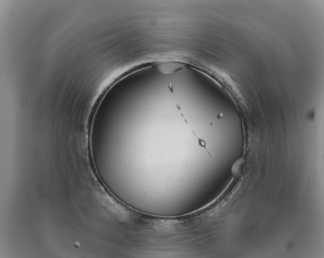 X0000090711184200707271125