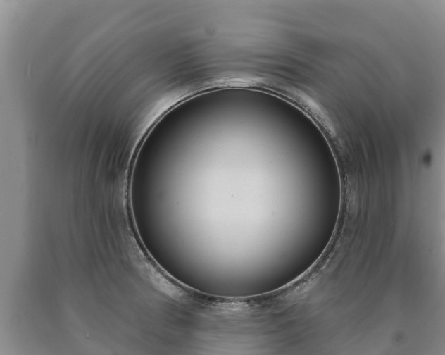 X0000090711186200707271125