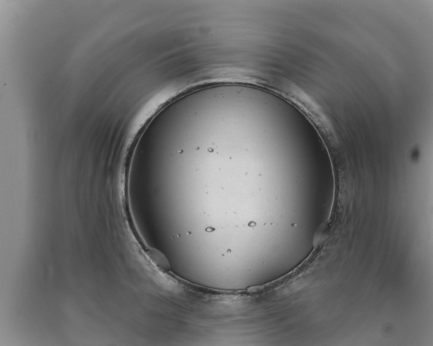 X0000090711188200707271125