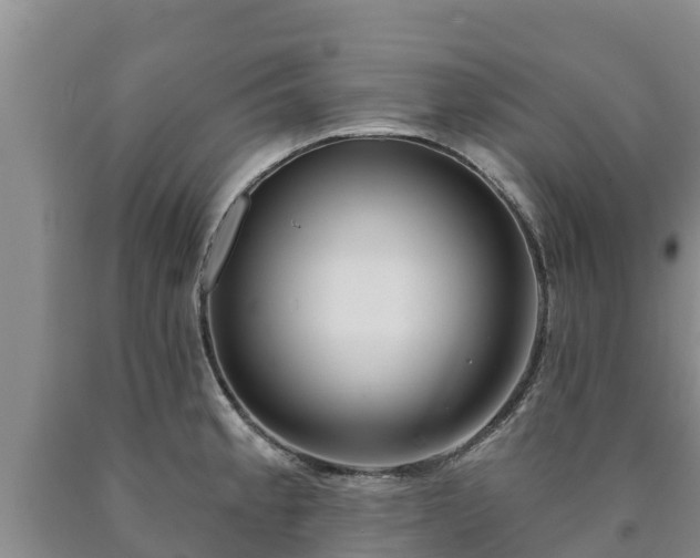 X0000090711189200707271125