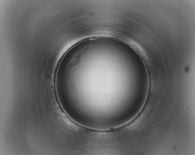 X0000090711192200707271125