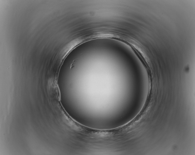 X0000090711193200707271125