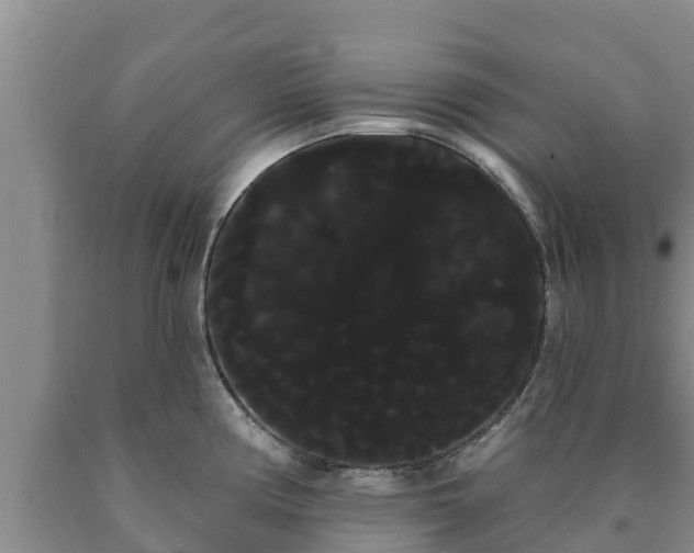 X0000090711194200707271125