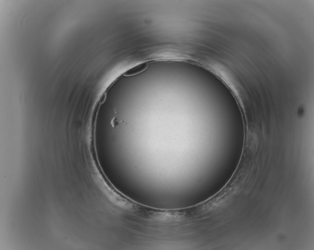 X0000090711195200707271125