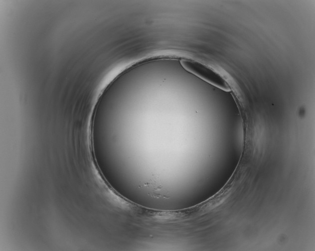 X0000090711199200707271125