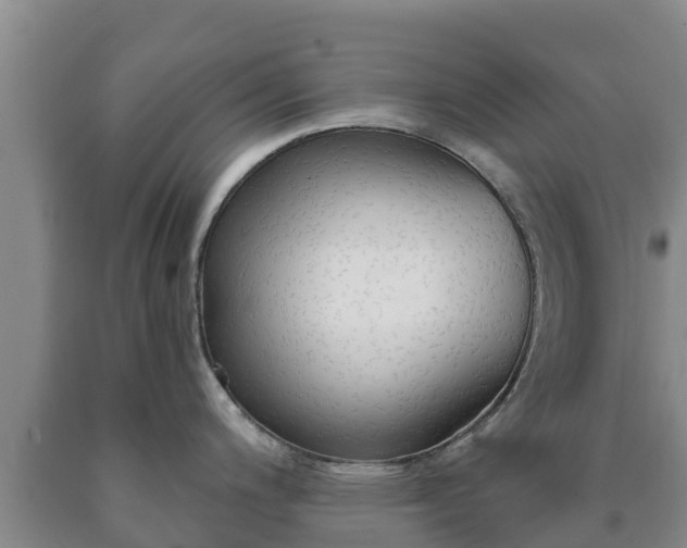 X0000090711200200707271125