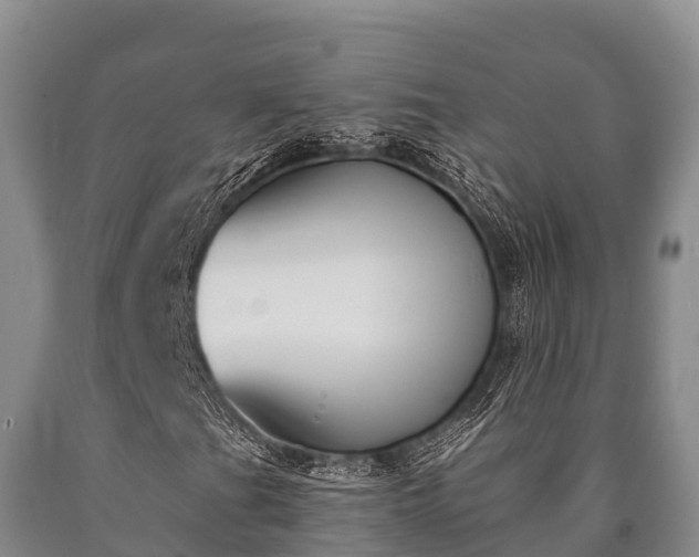 X0000090711201200707271124