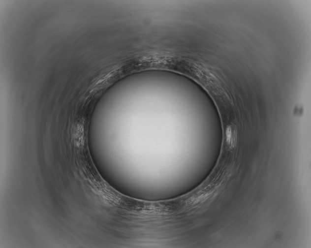 X0000090711203200707271124