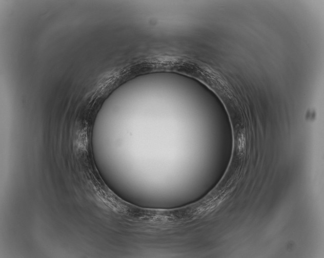 X0000090711204200707271124