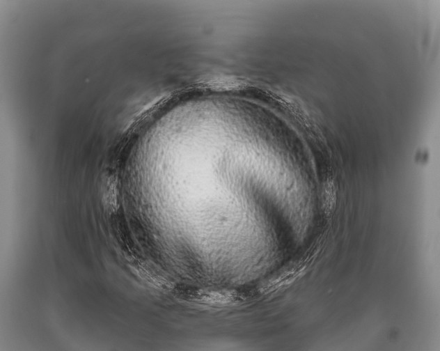 X0000090711205200707271124