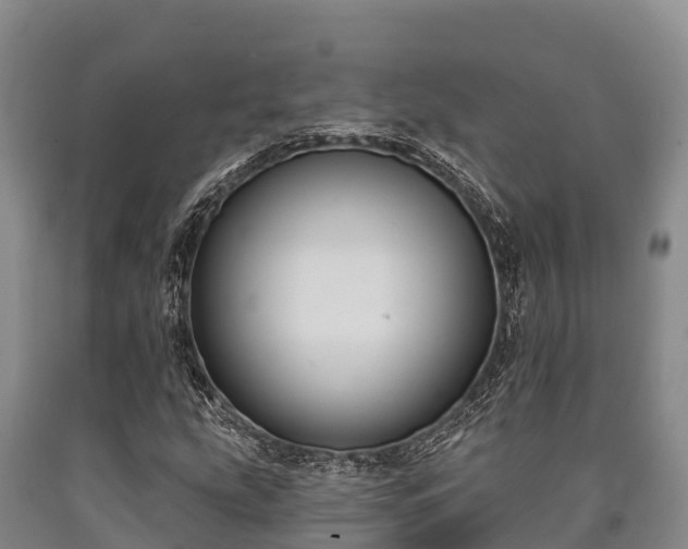 X0000090711207200707271124