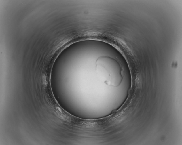 X0000090711209200707271124