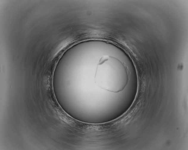 X0000090711211200707271124