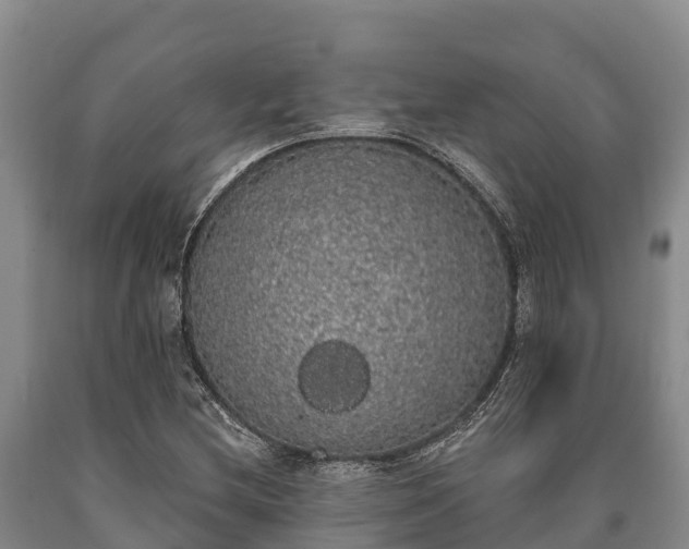 X0000090711212200707271124