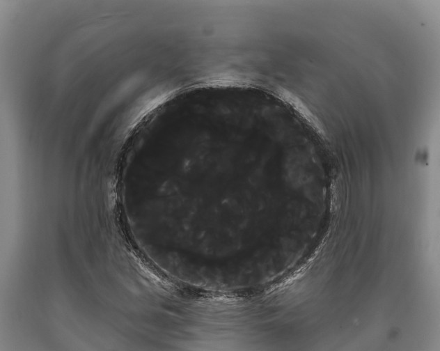 X0000090711213200707271124