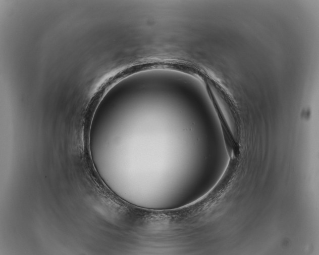 X0000090711214200707271124