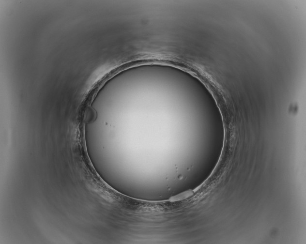 X0000090711215200707271124