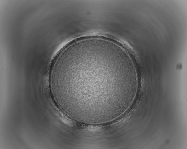 X0000090711216200707271124