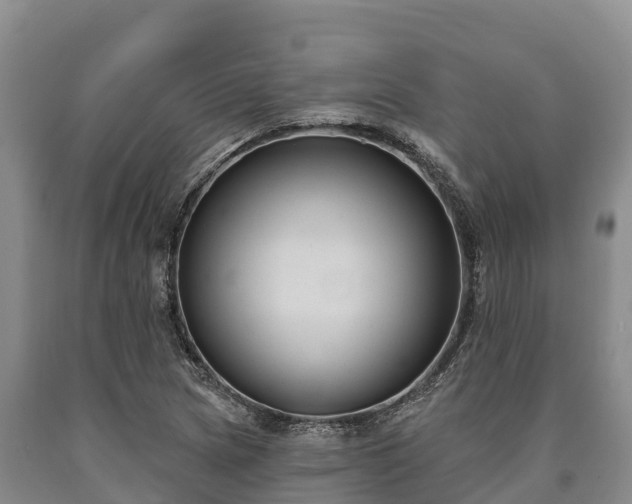 X0000090711217200707271124