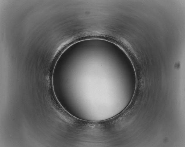 X0000090711218200707271124