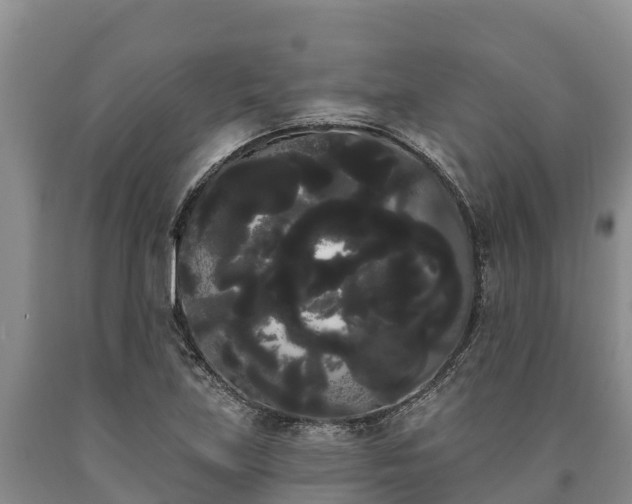 X0000090711219200707271124