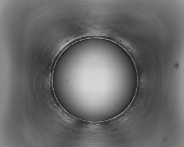 X0000090711220200707271124