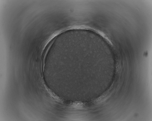 X0000090711221200707271124