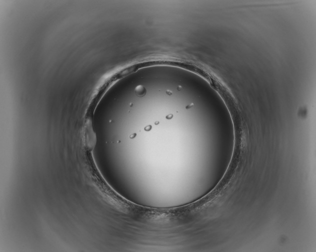 X0000090711222200707271124