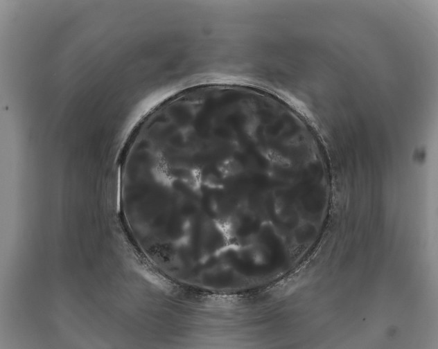 X0000090711223200707271124