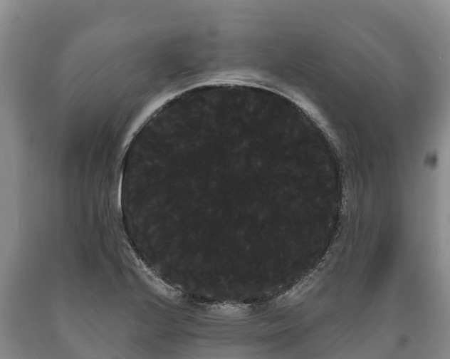 X0000090711224200707271124