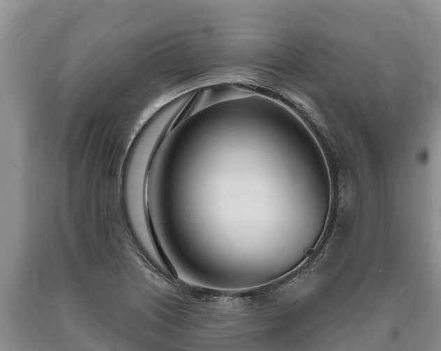 X0000090711226200707271125