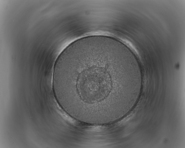 X0000090711228200707271125